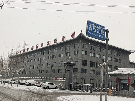 雪落古胶实干传情|东阿古胶